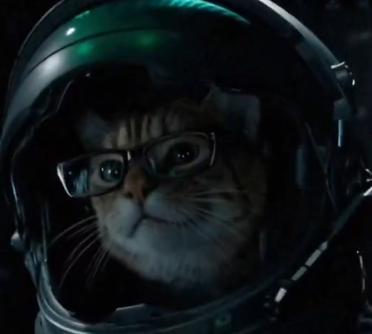 A cat wearing glasses inside a dark astronaut helmet